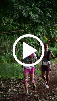 BIB:  <button type="button" onclick="openModal(27288313)" class="btn btn-primary btn-sm float-right" data-toggle="modal" data-target=".modal-high-quality">
                <i class="fa fa-download"></i> Download
                </button>